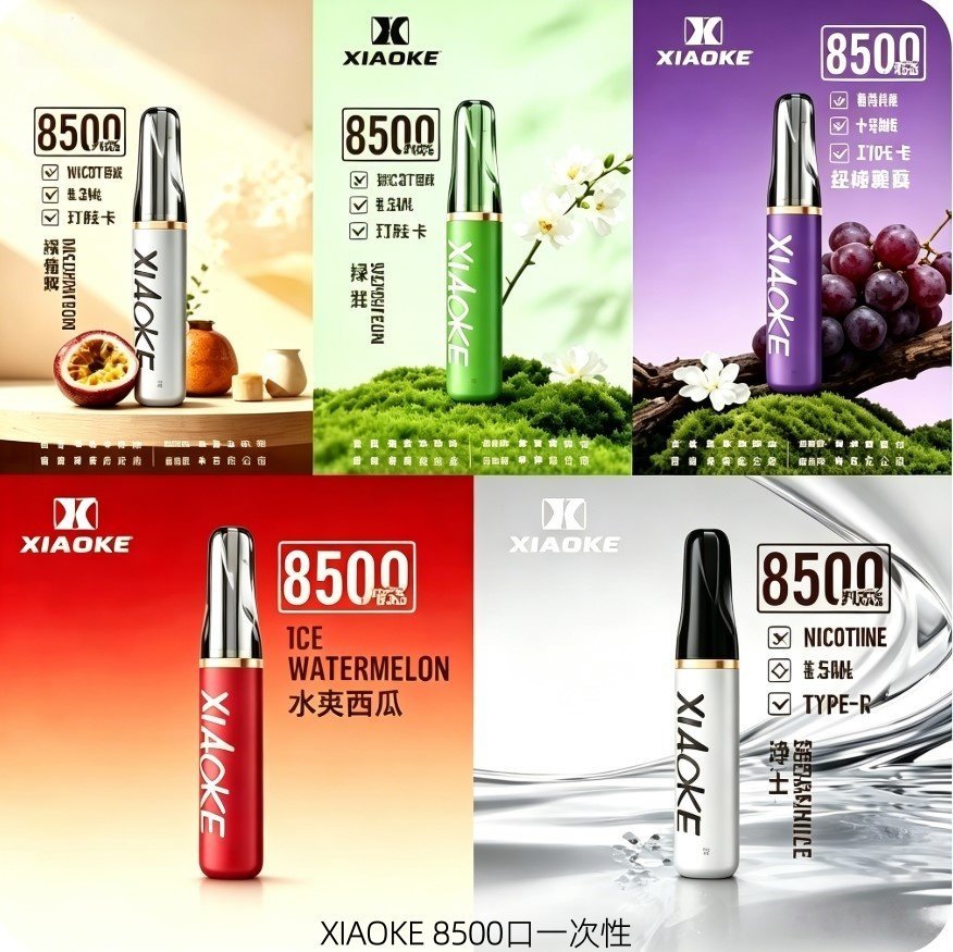 XIAOKE梟客 8500口一次性電子菸拋棄式
